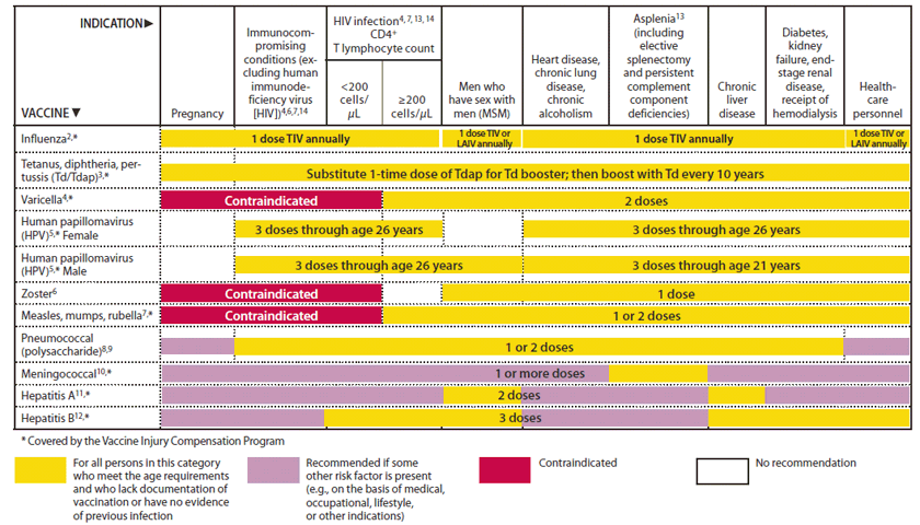 The figure shows vaccines that might be indicated for adults, based on medical and other indications in the United States, during 2012. For Figure 2, a new column was added for men who have sex with men (MSM) to note in the figure that MSM is an indication for HPV, hepatitis A, and hepatitis B vaccines.
 In addition, the diabetes indication was moved to the same col¬umn as chronic kidney disease to accommodate the new recom¬mendation for hepatitis B vaccination of persons with diabetes. 
 Because pregnant women not previously vaccinated with Tdap are now preferentially recommended for vaccination with Tdap during later pregnancy (>20 weeks gestation), the yellow bar has been extended across all risk groups.
 The HPV vaccine bar was separated into a bar for females and one for males. The bar for females is unchanged from the previous year except that the bar was extended to include HCP to clarify that HCP who are in the recommended age group for receipt of HPV vaccine are recommended for vaccination. 
 Lastly, the HPV vaccine bar for males was added and indicates that all males through age 26 should be vaccinated if they are immunocompromised, have HIV, or are MSM. However, the age indication is through age 21 for males with or without these risk factors.
